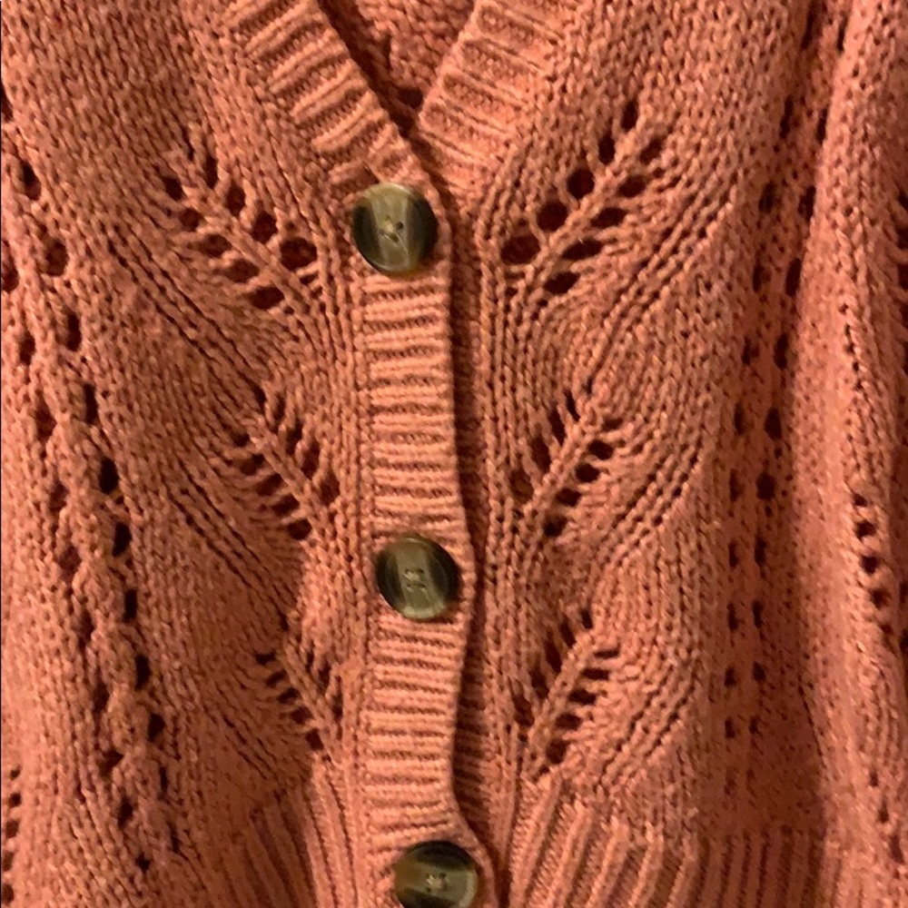 American Eagle Cardigan - Picture 4 of 5